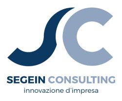 Segein Consulting